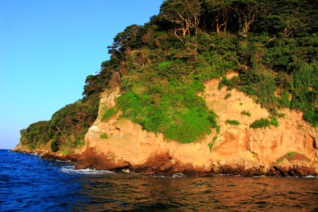 Friendly ship with Sarushima(*´꒳`*) - Soon get off