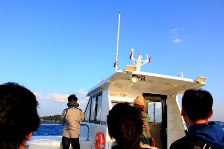 Hi, Sarushima over there◝(⑅•ᴗ•⑅)◜..°