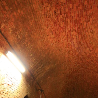 Anywhere frandle bond bricks( ´ •̥  ̫ •̥ ` )