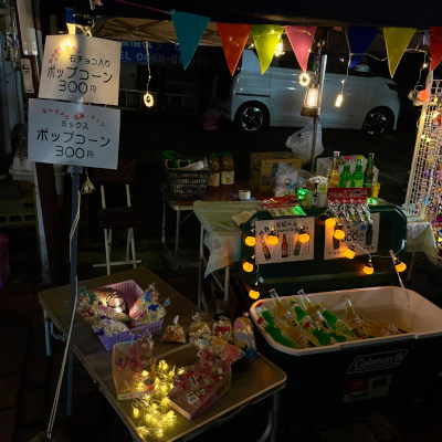 Misaki Festival Night Walk