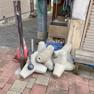 Little tetrapods road side♥