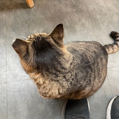 Hey you, in Jogashima! You are hungry, aren't you??