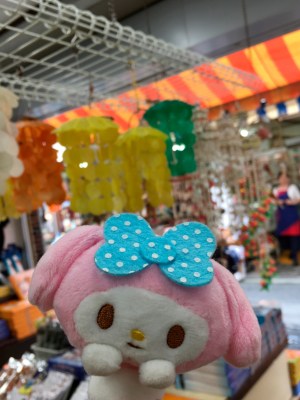 Pyoco₍ᐢ⑅•ᴗ•⑅ᐢ₎♡ There are a lot of interior goods from sea shells.