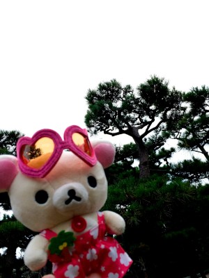 Your transparent orange-colored glass is beautiful, Korilakkuma!