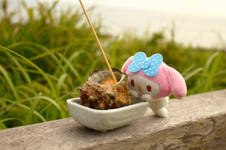 Sa-zae-san Sa-za-esan♡〜٩( ˶´꒳`˶ )۶〜♡