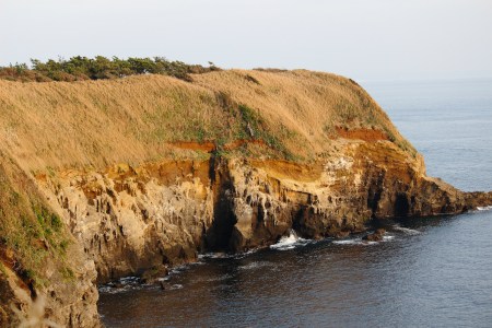 Wild wave sprash when the wind is strong