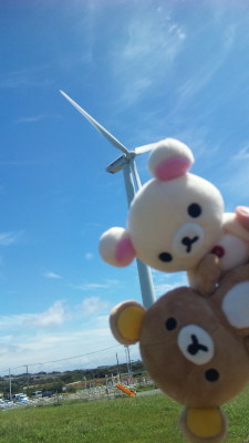 Small bears ପ(⑅ˊᵕˋ⑅)ଓ