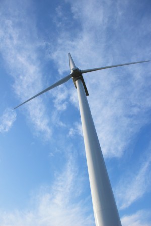 The windmill generators have come back(*´꒳｀*)