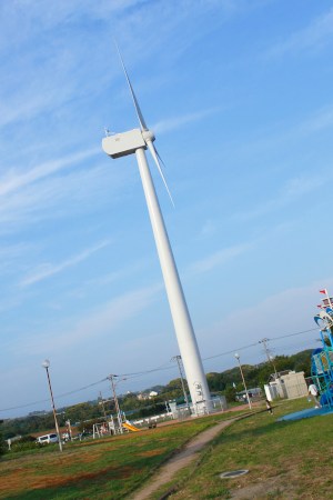 After all the windmill park!! (´ ｡•ω•｡)っ⌒♡｡．