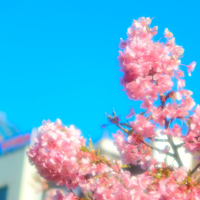 The spring comes flying into the sky