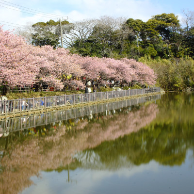 Water surface reflection in Komatsugaike Lake