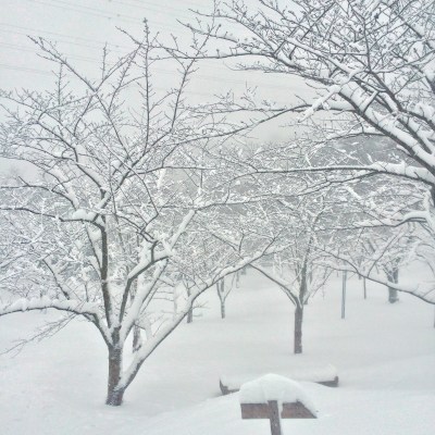 (˶ ･ᴗ･ )੭⑅*⋆｡˚✩.*･ﾟ Hemi - Tsukayama park