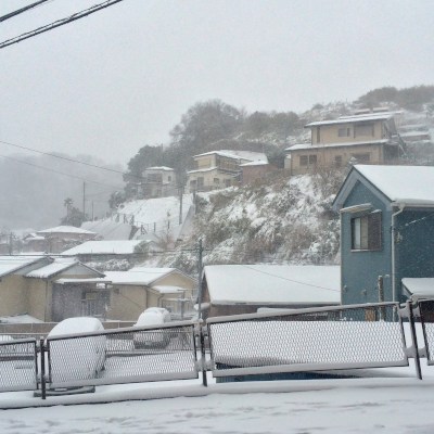 °ʚ(*´꒳`*)ɞ°.Hemi and Anjin park