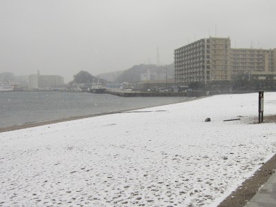 (˶ ･ᴗ･ )੭⑅*⋆｡˚✩.*･ﾟ Coast of Kurihama