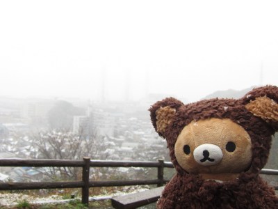 °ʚ(*´꒳`*)ɞ°.Kurihama Flower garden