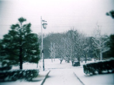 °ʚ(*´꒳`*)ɞ°.Kurihama Flower garden