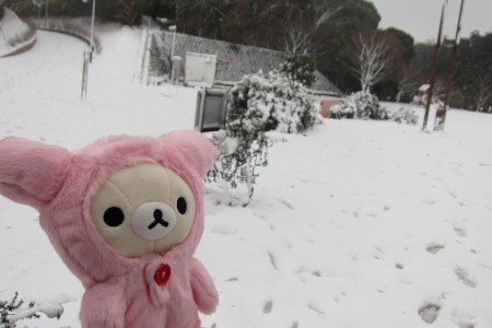 °ʚ(*´꒳`*)ɞ°.Kurihama Flower garden