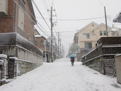 °ʚ(*´꒳`*)ɞ°.Uraga - Futaba