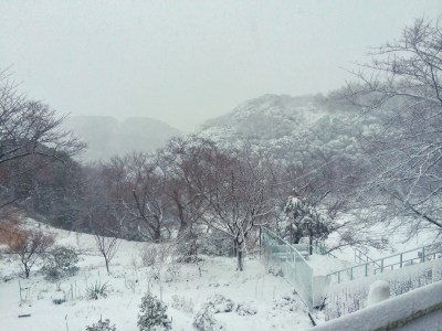 °ʚ(*´꒳`*)ɞ°.Uraga - Futaba