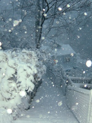 °ʚ(*´꒳`*)ɞ°.Uraga - the South side village for Kurihama