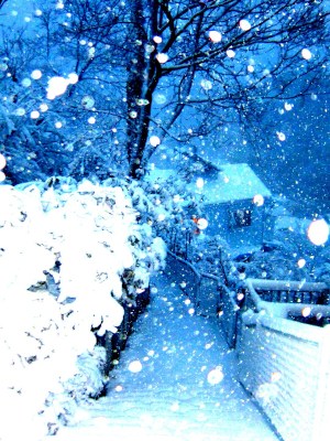 (˶ ･ᴗ･ )੭⑅*⋆｡˚✩.*･ﾟ Snowy valley in Uraga