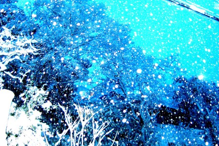 (˶ ･ᴗ･ )੭⑅*⋆｡˚✩.*･ﾟUraga - the South side village for Kurihama