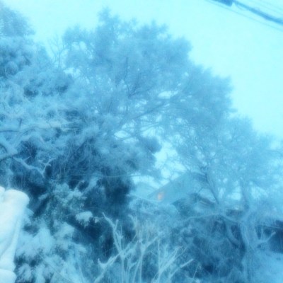(˶ ･ᴗ･ )੭⑅*⋆｡˚✩.*･ﾟ Frozen valley in Uraga