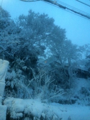 (˶ ･ᴗ･ )੭⑅*⋆｡˚✩.*･ﾟUraga - the South side village for Kurihama