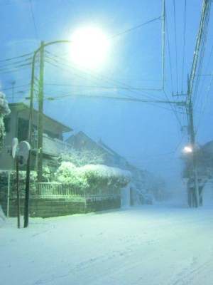 (˶ ･ᴗ･ )੭⑅*⋆｡˚✩.*･ﾟ The highland between Uraga and Kurihama