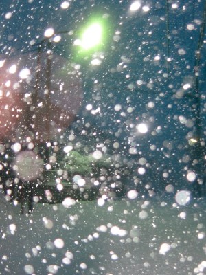 (˶ ･ᴗ･ )੭⑅*⋆｡˚✩.*･ﾟ The highland between Uraga and Kurihama