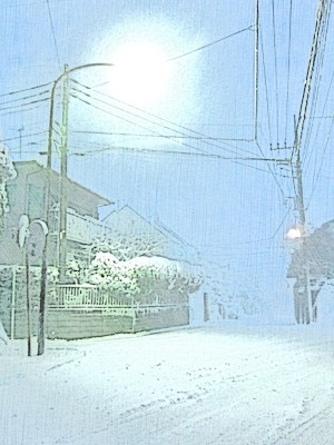 (˶ ･ᴗ･ )੭⑅*⋆｡˚✩.*･ﾟ The highland between Uraga and Kurihama