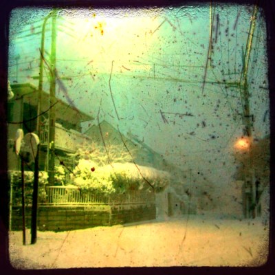 (˶ ･ᴗ･ )੭⑅*⋆｡˚✩.*･ﾟ The highland between Uraga and Kurihama