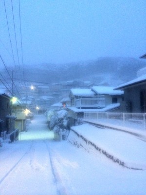(*˘︶˘*).｡.:*♡Uraga - nearby Yoshii Shell mound