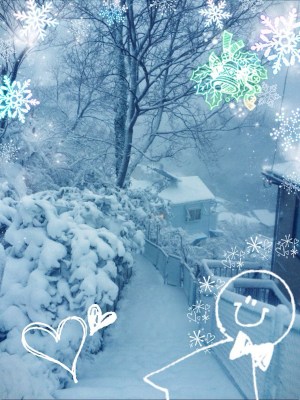 (˶ ･ᴗ･ )੭⑅*⋆｡˚✩.*･ﾟ Frozen valley in Uraga