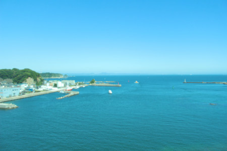 Running like a flying bird