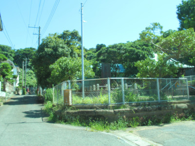 Neighbors in Jogashima