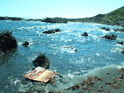 (*˘ᗜ˘*).｡.:*♡