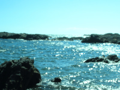 (*˘ᗜ˘*).｡.:*♡