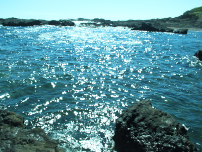 We like the sunshine here( ˶˙ᵕ˙˶ )