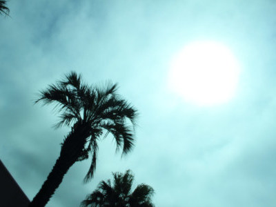 Summer burning soon(*˘꒳˘*)