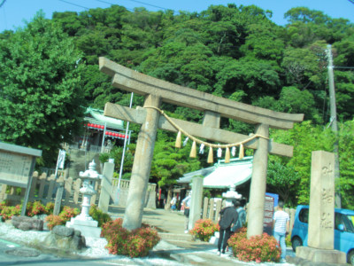 Summer Color in Uraga(*˘꒳˘*)