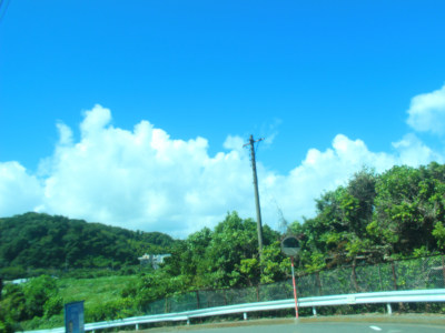 Summer Color in Uraga(*˘꒳˘*)