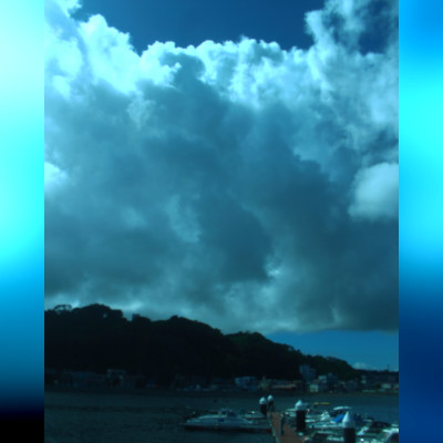 Summer Color in Uraga(*˘꒳˘*)