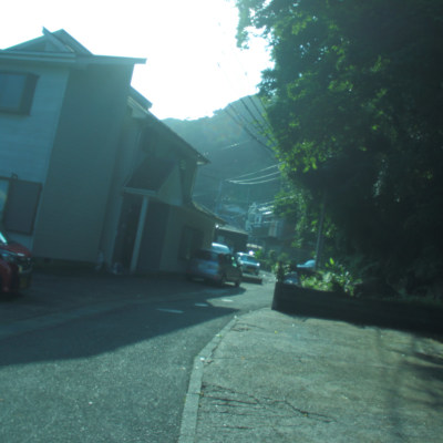 Summer Color in Uraga(*˘꒳˘*)