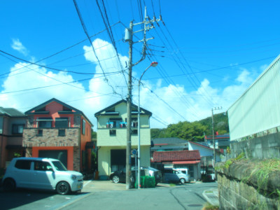 Summer Color in Uraga(*˘꒳˘*)