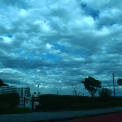 The Army Jetty in Uraga. But hidden with plants...