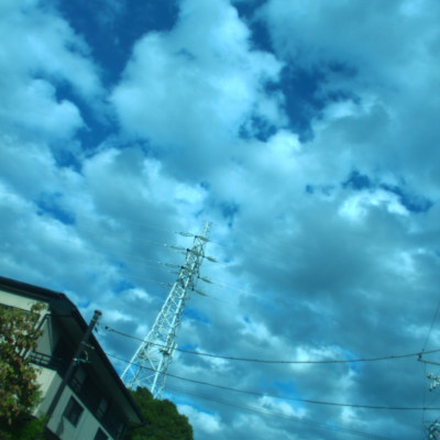 Summer Color in Uraga(*˘꒳˘*)