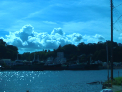 Summer Color in Uraga(*˘꒳˘*)