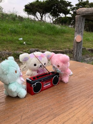 Fancy analog sounds in the magnetic cassette tape*｡.(♥´꒳`*)人(*´꒳`♥).｡*