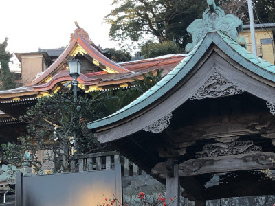 Recently Kano shrine's renewaled roof 